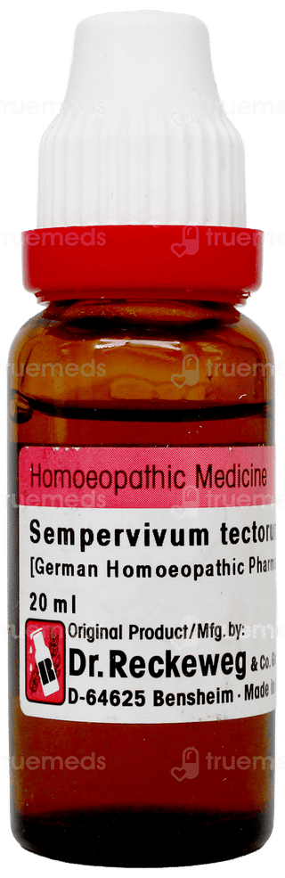 Dr Reckeweg Sempervivum Tectorum Q Mother Tincture 20Ml