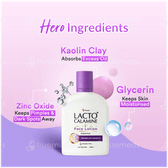 Lacto Calamine Kaolin Clay Face Lotion 120ml