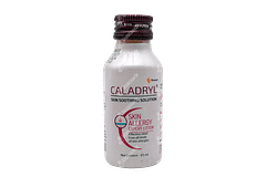 Caladryl Lotion 65ml