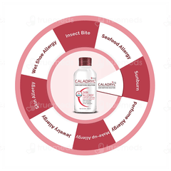 Caladryl Skin Soothing Solution 65ml