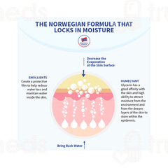 Neutrogena Norwegian Formula Body Moisturizer 250 ML