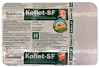 Himalaya Koflet Sf Ginger Mint 6