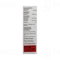 Respizen Nasal Spray 10gm