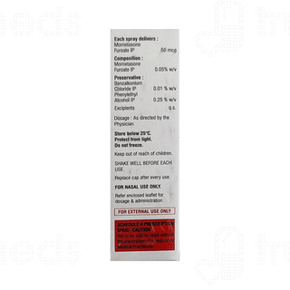 Respizen Nasal Spray 10gm