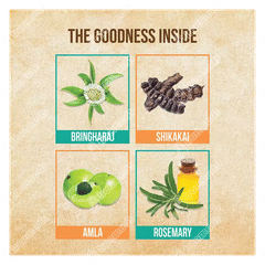 Indulekha Bringha Cleanser 340ml