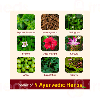 Navratna Ayurvedic Cool Hair Oil 500ml