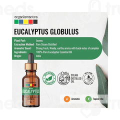 Organix Mantra Nilgiri Eucalyptus Essential Oil 15ml Organix Mantra Nilgiri Eucalyptus Essential Oil 15ml