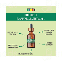 Organix Mantra Nilgiri Eucalyptus Essential Oil 15ml Organix Mantra Nilgiri Eucalyptus Essential Oil 15ml