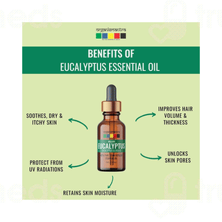Organix Mantra Nilgiri Eucalyptus Essential Oil 15ml