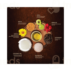 Dabur Arnica Hair Oil 100ml