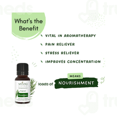 Mystiq Living Rosemary Essential Oil 15ml Mystiq Living Rosemary Essential Oil 15ml
