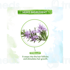 Mamaearth Rosemary Essential Oil 15ml