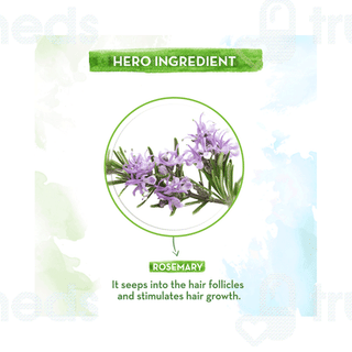Mamaearth Rosemary Essential Oil 15ml