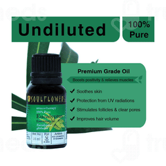 Soulflower Eucalyptus Essential Oil 15Ml