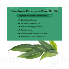 Soulflower Eucalyptus Essential Oil 15Ml