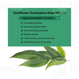 Soulflower Eucalyptus Essential Oil 15Ml