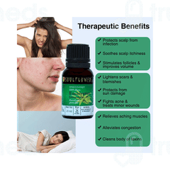 Soulflower Eucalyptus Essential Oil 15Ml