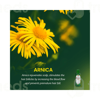 Sunny Herbals Arnica Montana Hair Oil 200ml