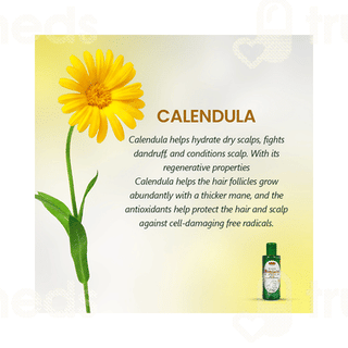 Sunny Herbals Arnica Montana Hair Oil 200ml