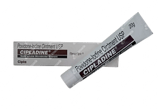 Cipladine Ointment 20gm