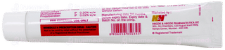 Hhsalic Ointment 10Gm
