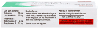 Lexanox Plus Sugar Free Paste 5gm