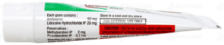 Lexanox Plus Sugar Free Paste 5gm