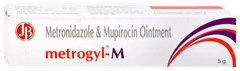 Metrogyl M Ointment 5gm