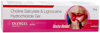 Olergel Mouth Ulcer Gel 15Gm