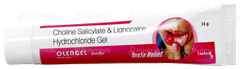 Olergel Mouth Ulcer Gel 15Gm