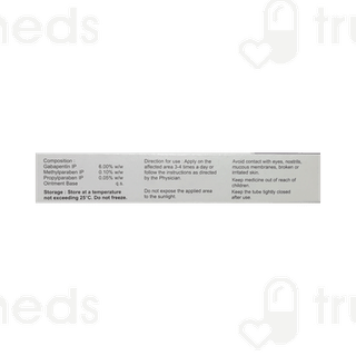 Gabament Ointment 20gm