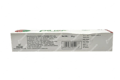 Charak Pilief Ointment 20gm