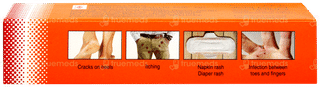 Lichensa Ointment 40gm