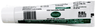 Sbl Fp Ointment 25Gm