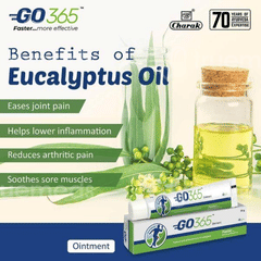 Go 365 Ointment 30 Gm