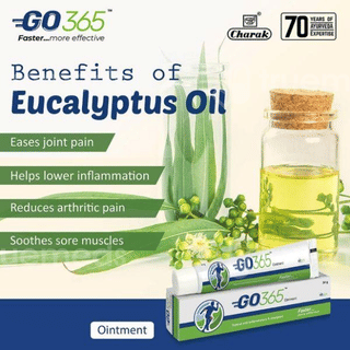 Go 365 Ointment 30 Gm