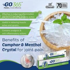 Go 365 Ointment 30 Gm
