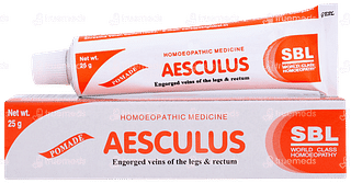 Sbl Aesculus Ointment 25gm