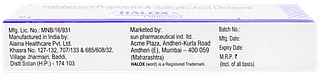 Halox S Ointment 30gm