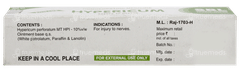 Sbl Hypericum Ointment 25Gm