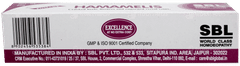 Sbl Hamamelis Ointment 25gm