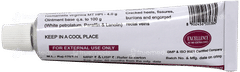 Sbl Hamamelis Ointment 25gm