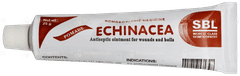 Sbl Echinacea Ointment 25gm
