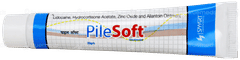 Pilesoft Ointment 20gm Pilesoft Ointment 20gm