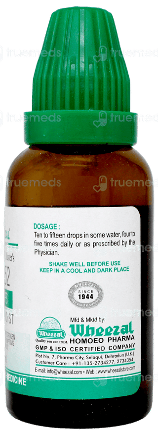 Wheezal Wl52 Drops 30Ml