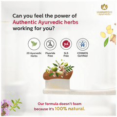 Maharishi Ayurveda Ayurdent Classic Herbal Toothpaste 75ml With Copper Tongue Cleaner Combipack 1