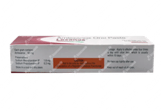 Lexanox Oral Paste 5gm