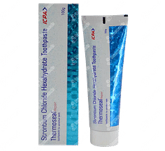 Thermoseal Repair Paste 100 GM