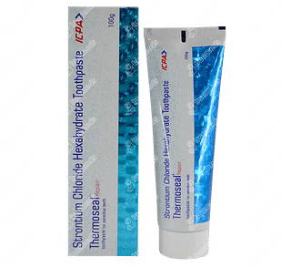 Thermoseal Repair Paste 100 GM