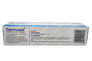 Thermoseal Repair Paste 100 GM